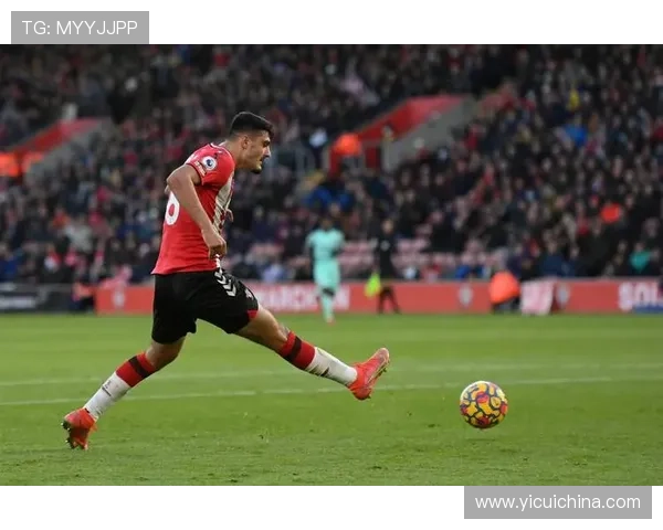 布莱顿足球俱乐部崛起之路探秘从海滨小城到英超劲旅的发展历程