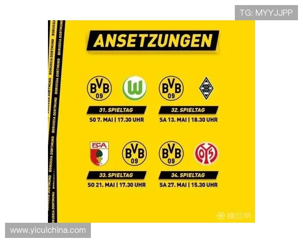 普鲁士多特蒙德俱乐部历史辉煌与未来展望的深度分析 普鲁士多特蒙德俱乐部历史辉煌与未来展望的深度分析